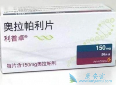 ��������ʹ��˵��