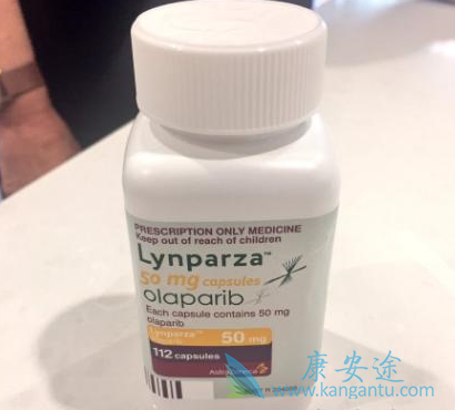 奥拉帕尼吃法 奥拉帕尼吃法