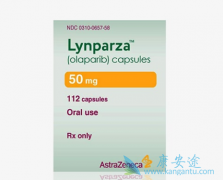 �������ḱ���ô����ͣ����