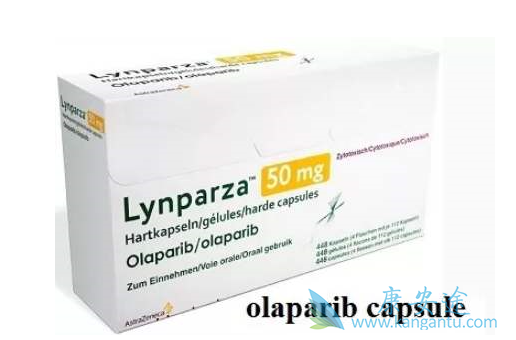 奥拉帕尼单药治疗效果 奥拉帕尼单药治疗效果