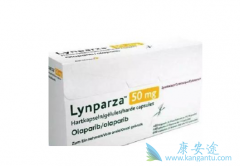 ��������Ͱ�������