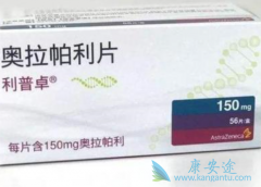 ����������Ч�ò��ã�