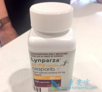 �����������Ч��ô����