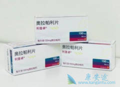 ���������Ǹ�PARP���Ƽ�