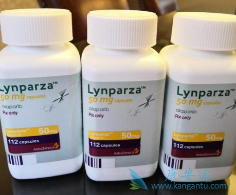 奥拉帕尼联合抗血管生成物如何选择 奥拉帕尼联合抗血管生成物如何选择