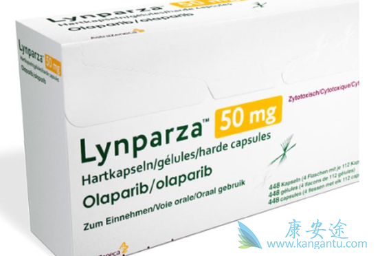 奥拉帕尼卵巢癌一线维持治疗策略 奥拉帕尼卵巢癌一线维持治疗策略
