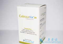 �������������ӳ�������