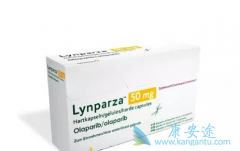 �����������𽥳�Ϊ�ѳ�����������ѡ��