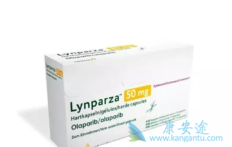 奥拉帕尼正逐渐成为卵巢癌的治疗新选择 奥拉帕尼正逐渐成为卵巢癌的治疗新选择