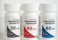 ����������ô����