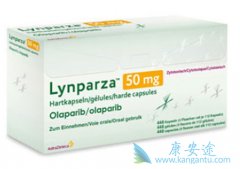 ��������ᵼ�������ж���