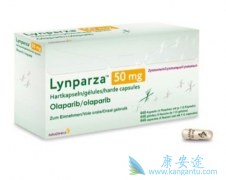 �����������Щ��������