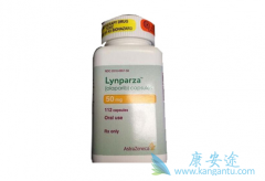 ��ʵ�����о�֧�ְ�����������ת�������ٰ�