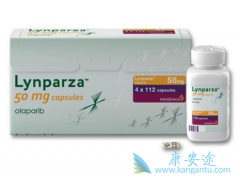 ����������BRCAͻ�仼������ʾ�־û���