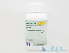 ����������PARP���Ƽ��еİ�ȫ�����