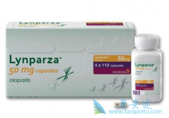 �ѳ����԰����������ӳ�PFS