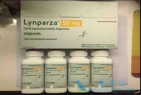 奥拉帕尼有生存优势吗 奥拉帕尼有生存优势吗