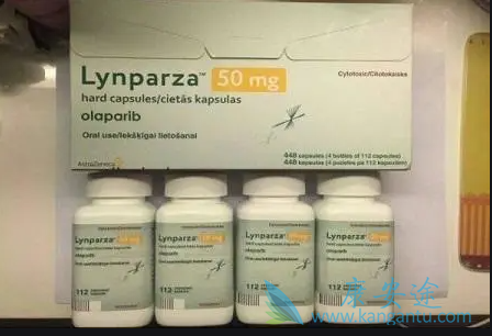 奥拉帕尼是一个治疗卵巢癌的新型药物 奥拉帕尼是一个治疗卵巢癌的新型药物