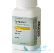 ��������İ�ȫ�������������