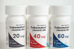 �̿�XL184�����������Ǯ