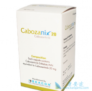 ������������ǰ���ٰ���Ч�����