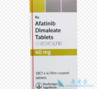 ���������HNSCC������Ч��