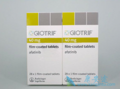 ����������ʲô