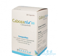 ���������ڰ��װ��е��о���չ