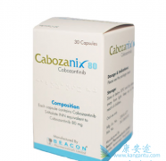 �������������Ч������