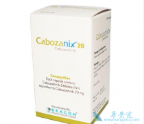 �̿������������Ǯ