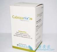 �����������ڸΰ����ڽ�չ��ȡ��ʤ��