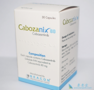 �������ᵥ�����Ͷ����ҩ���л����ѧ����֮��ıȽ�