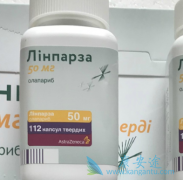 �������᳤�ڰ�ȫ��