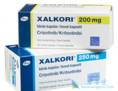 ���������Ч�Ͱ�ȫ�Զ���