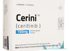 ��������ĸε�������Ӧ