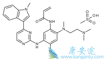 奥希替尼片 奥希替尼片