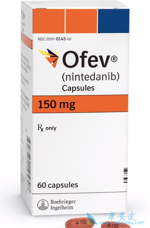 尼达尼布在体外和体内对淋巴管生成的抑制作用 尼达尼布在体外和体内对淋巴管生成的抑制作用