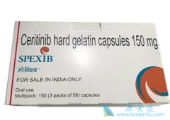 ���������ڰ�Ѫ��ϸ���еĹ�Ч