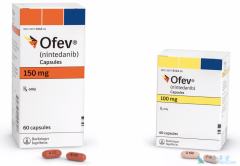 ����᲼���ڼ���ipf�Ľ�չ����Ч��