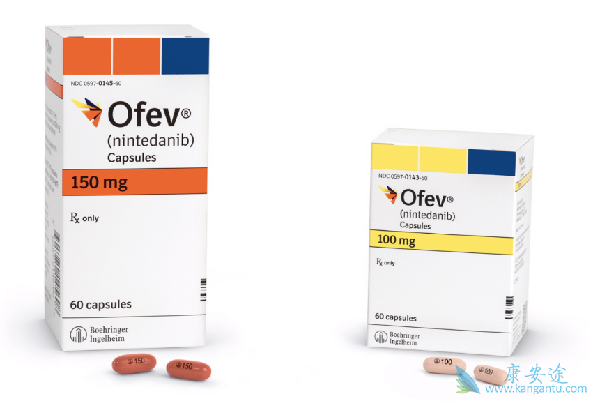 尼达尼布能有效抑制HTFs向肌成纤维细胞的转化 尼达尼布能有效抑制HTFs向肌成纤维细胞的转化