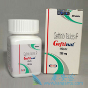 ��������(Gefitinib)���Ƹ�ϸ��������ת�Ƶİе�