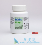 �����������������������۲�����