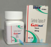 ��������(Gefitinib)���¸�ҩ���ٴ��洦