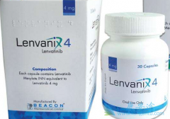 �ַ�����/�ط���������ߵ��ڻ���