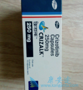 ��������(Xalkori)���˷��ݺ��Ƽ�����ϸ�����յ��Ŀ���������