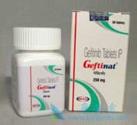 ��������(gefitinib)����άĪ˾������EGFR��mTOR