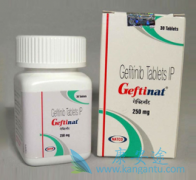 ��������(Iressa)�ڷǽǻ����ʰ�ϸ��ϵ�е��ٴ�ǰ����