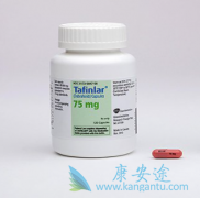 ���������������������BRAFV600Eͻ����������