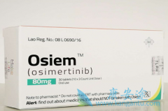 ̩��ɳ/��ϣ����ɹ��Կ�EGFR���Խ���ĸϸ����ϸ��