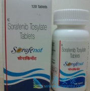 �༪��/���������յ�DNA�׻�����ı���